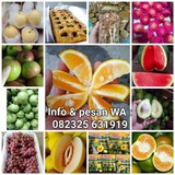 Telegram profile photo for PESAN ANTAR KE SANTRI