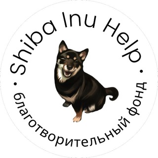 Telegram profile photo for Фонд помощи Сиба Ину