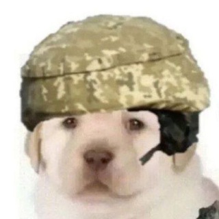 Telegram profile photo for єСмішинка