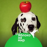 Telegram profile photo for Собака-обнимака ☮ @