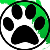 Telegram profile photo for Florida Furs Events