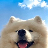 Telegram profile photo for clear s’s closet 🍙