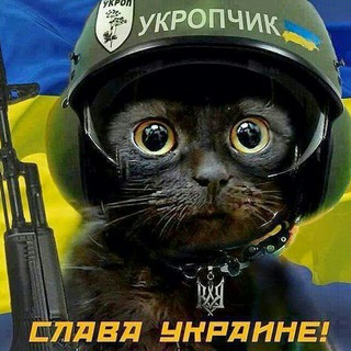 Telegram profile photo for Хунта info