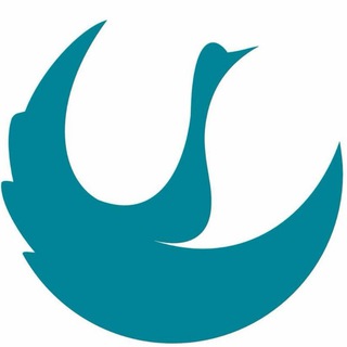 Telegram profile photo for ДИАНА Химчистка
