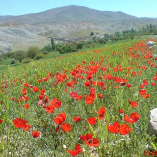 Telegram profile photo for كانال کلاته بالی(سنجربیگ)