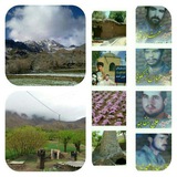 Telegram profile photo for اخبار موسیرز