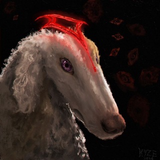 Telegram profile photo for kyze kennel
