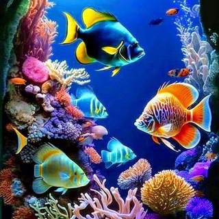 Telegram profile photo for 🐟Аквариумные рыбки🐠