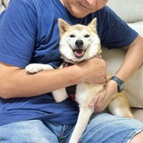 Telegram profile photo for NAIRO CTO PORTAL