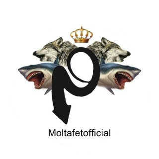 Telegram profile photo for پرچم دار ملتفت🏳️