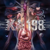 Telegram profile photo for دفعة 198 طب بشري | القصر العيني