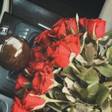 Telegram profile photo for أوَار