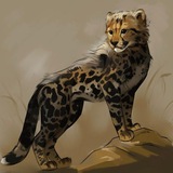Telegram profile photo for ꧁𝕍𝔼𝕀𝕂ℕ𝕄.ᐟ