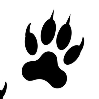 Telegram profile photo for Цены и Наличие SP 🐾
