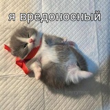 Telegram profile photo for моя арка