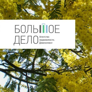 Telegram profile photo for Недвижимость в Абхазии - Большое Дело