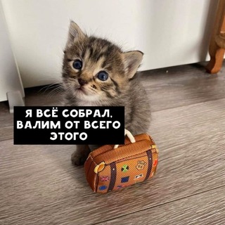 Telegram profile photo for Оля в Финляндии 🇷🇺🇫🇮