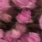 Telegram profile photo for ๐๐ก๐ ๐๐ฎ๐ซ๐๐ง | ููููููุทูู
ูุฆูููู ููููุจููู