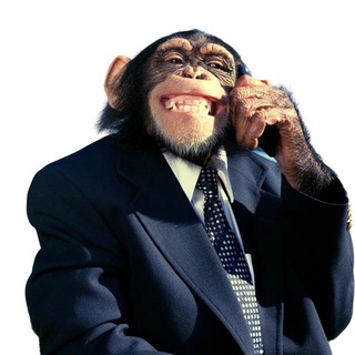 Telegram profile photo for Крутые обезьяны