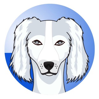 Telegram profile photo for Thefirstdog