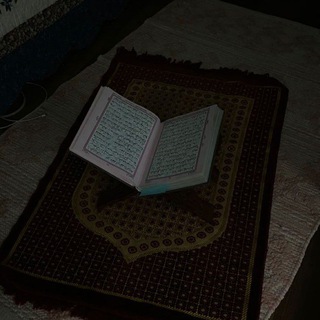 Telegram profile photo for 🤎Quran