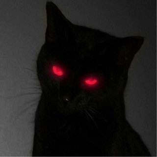 Telegram profile photo for Zokes Cabal 💸
