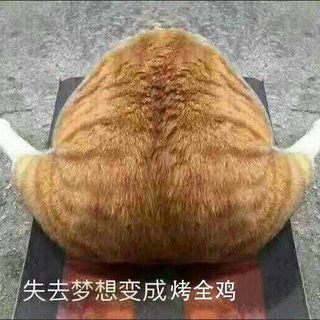 Telegram group profile photo for TenVM/ToSpeed 交流群