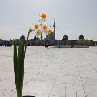 Telegram profile photo for 🌻غير تفكيرك تتغير حياتك🌻