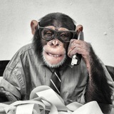 Telegram profile photo for Потный трейдер