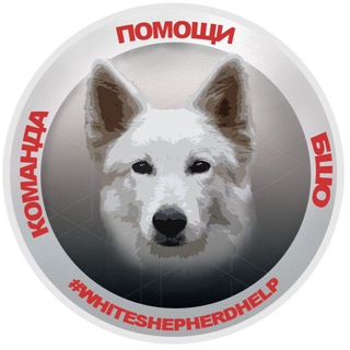 Telegram group profile photo for ЧАТ Команды помощи БШО