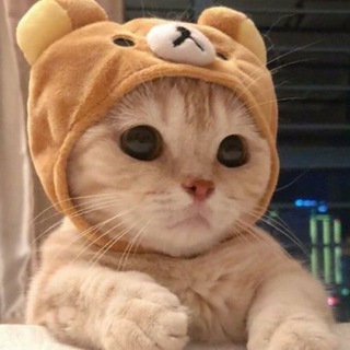 Telegram profile photo for BY公益内核发布频道