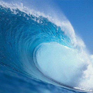 Telegram profile photo for THE PLAN - IL CAMBIAMENTO