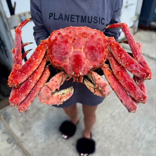 Telegram profile photo for Морепродукты 🦀 оптом