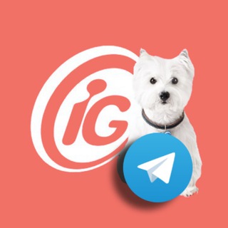 Telegram profile photo for iG Canal do Pet