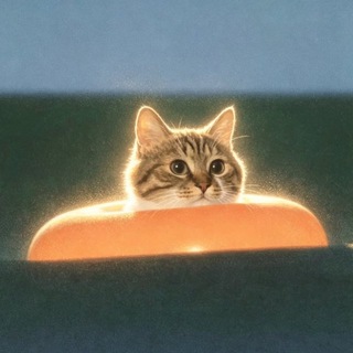Telegram profile photo for Живопись • кошки • выпендрёжки