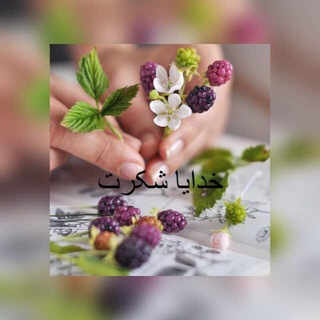 Telegram profile photo for دیدگاه توحیدی