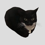 Telegram profile photo for триппа