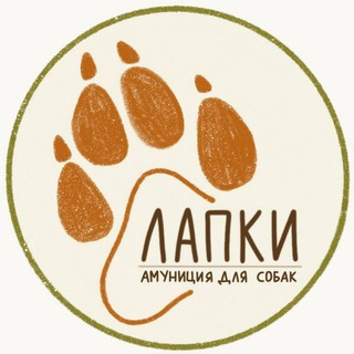 Telegram profile photo for LAPKI_AMU