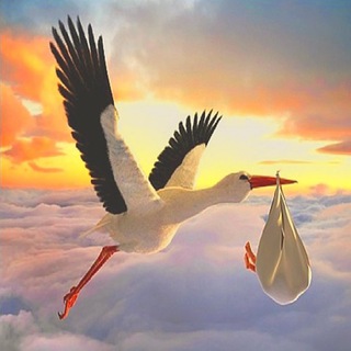 Telegram profile photo for Продукты и товары для дома.