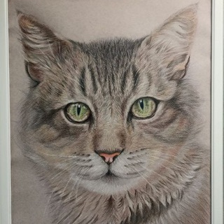 Telegram profile photo for Серебряный Кот
