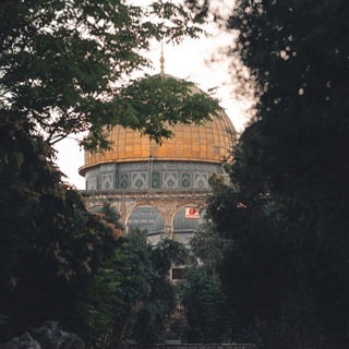 Telegram profile photo for ﴿ وَقَرِّي عَيْنًا ﴾