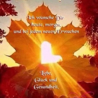 Telegram profile photo for Lebensweisheiten
