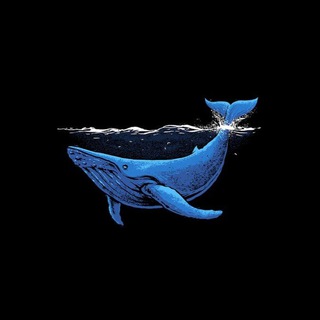 Telegram profile photo for نهنگ دراپ 🐋 Whaledrop