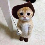 Telegram profile photo for Alpha Cat | Portal