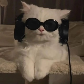 Telegram profile photo for قتباسات'كلام'حب'قرأن