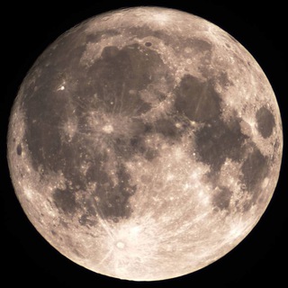 Telegram profile photo for Mume App