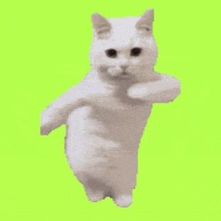 Telegram profile photo for The Dancing Cat