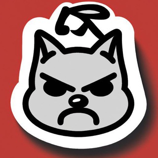 Telegram profile photo for 苏州公开及公告榜