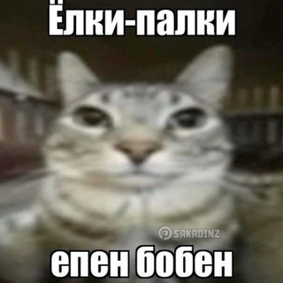 Telegram profile photo for абоба