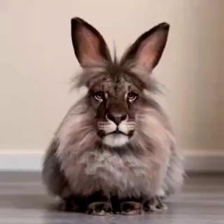 Telegram profile photo for Один запрос охуительнее другого